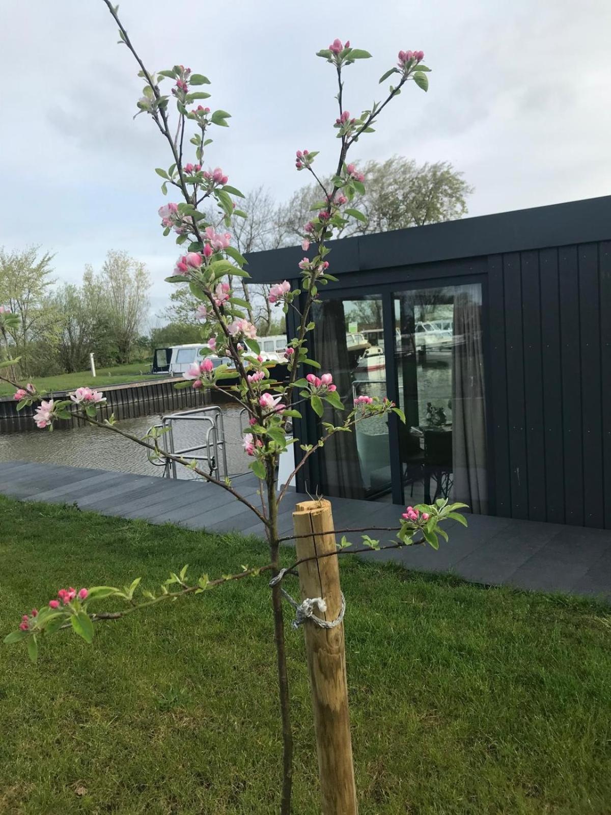 Uniek Overnachten In Een Tiny House Op De Appelhof Wommels Eksteriør bilde